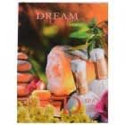 Dream 4 in 1 Milk & Honey(basic)